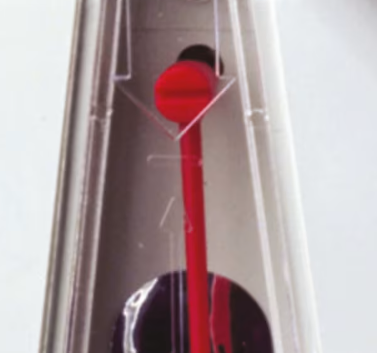 T-11 230V 20A AUTOMATICO SCALE